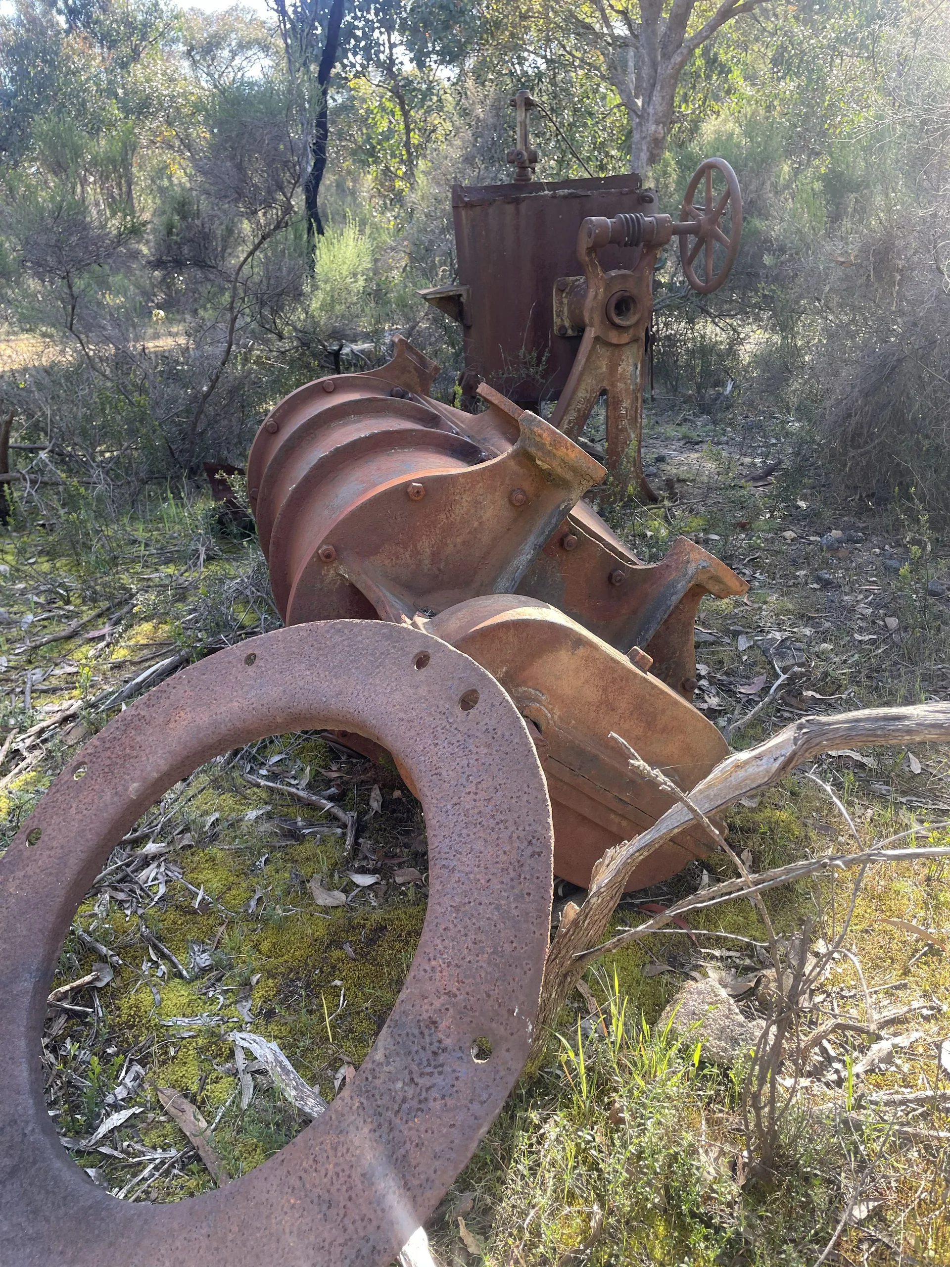 Rusted gold mining machinery in the bush