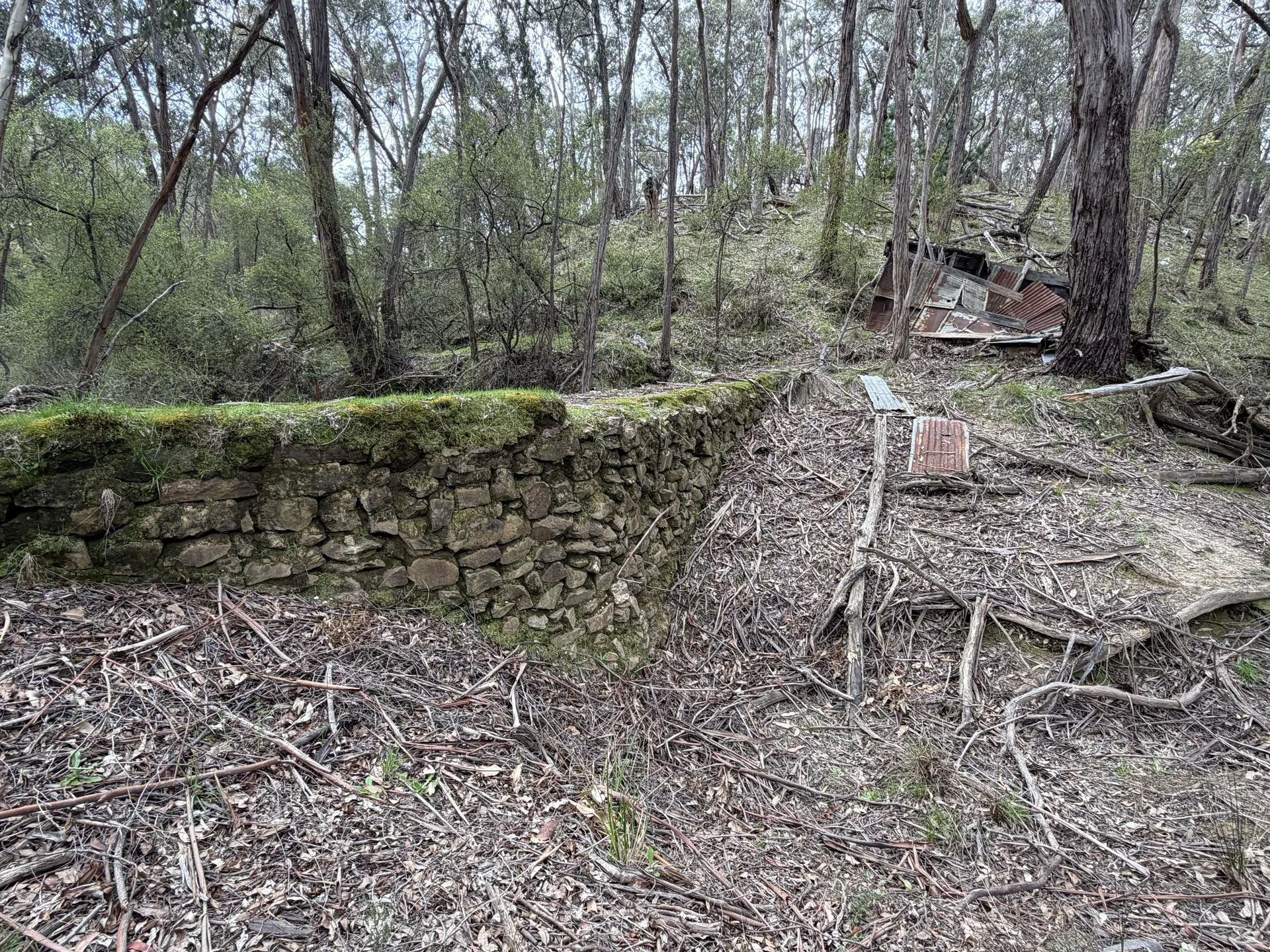 Moss-covered stone wall ruin in Goldfields forest