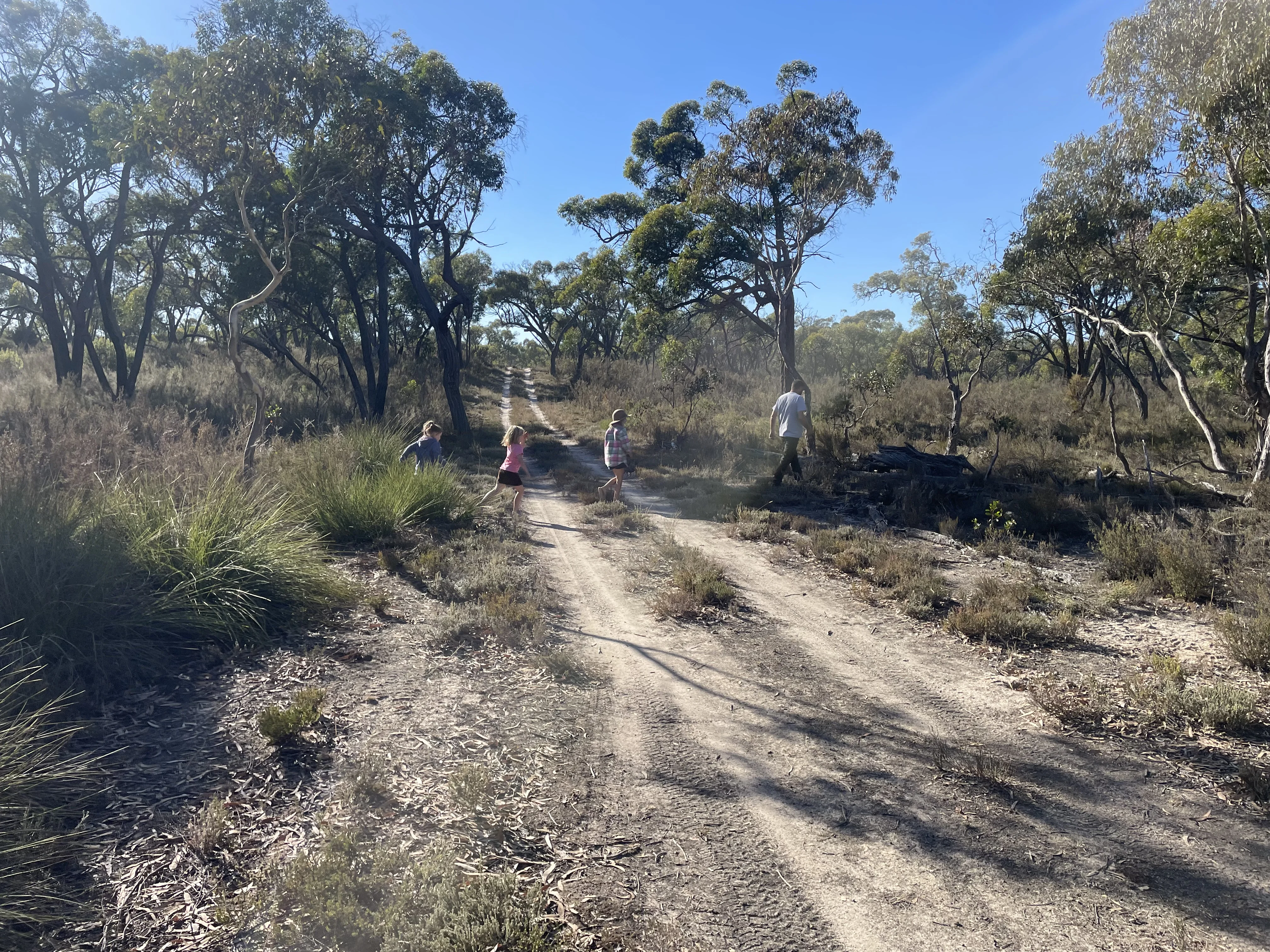 Kids on a sandy track through the Wimmera mallee